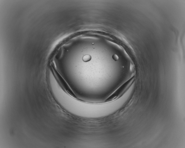 X0000113861312200910081658