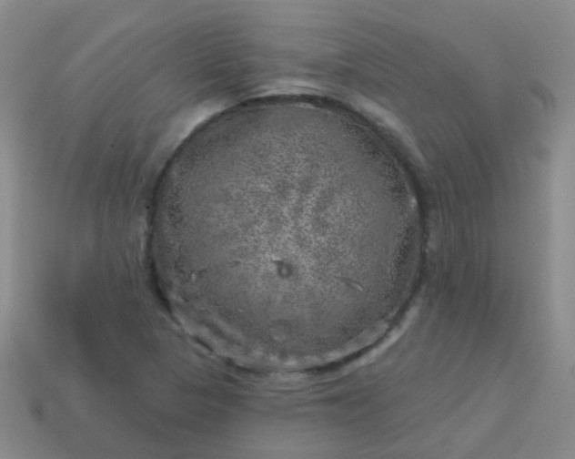 X0000113861313200910081658