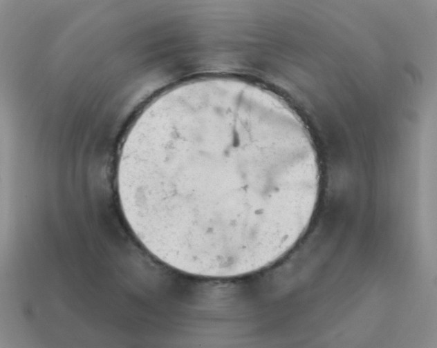 X0000113861314200910081658