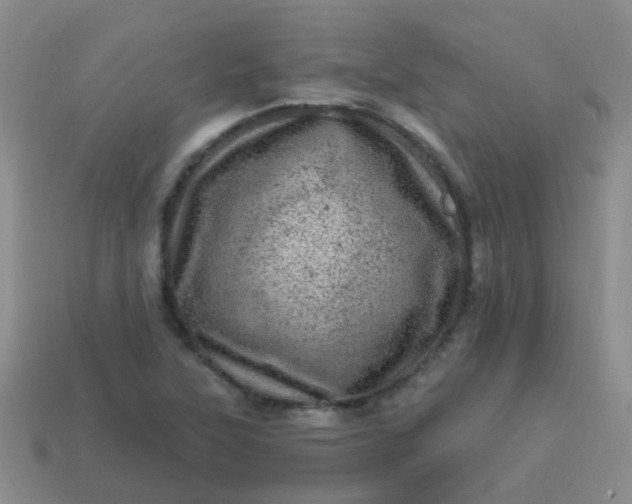 X0000113861315200910081658