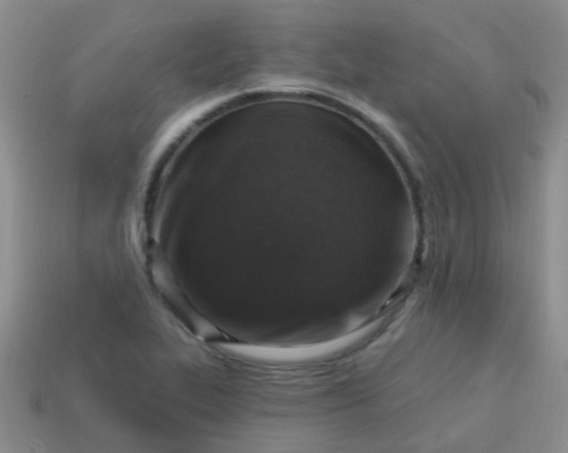 X0000113861319200910081658
