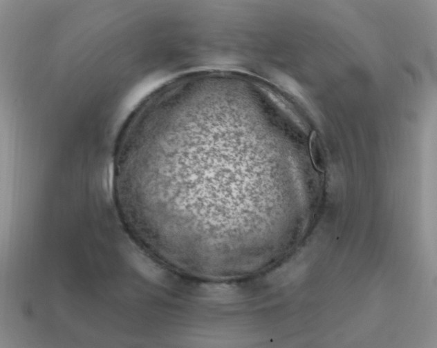 X0000113861320200910081658