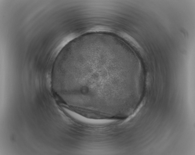 X0000113861321200910081658