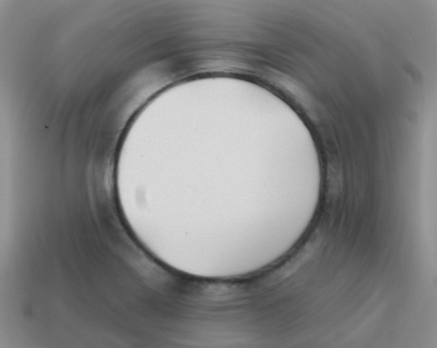 X0000113861322200910081658