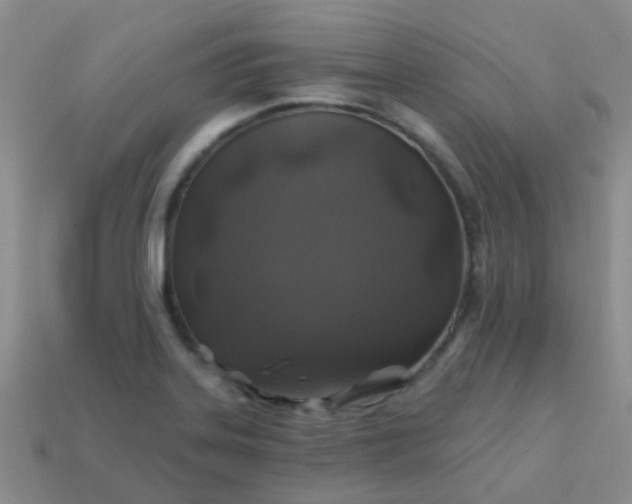 X0000113861323200910081658