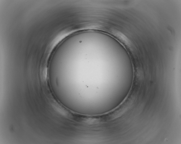 X0000113861324200910081658