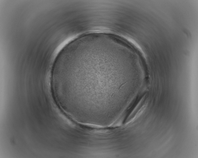 X0000113861325200910081658