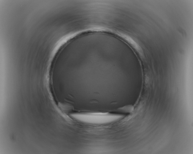 X0000113861327200910081658