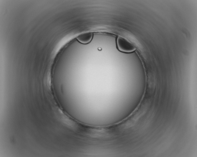X0000113861328200910081658
