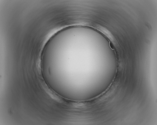 X0000113861332200910081658
