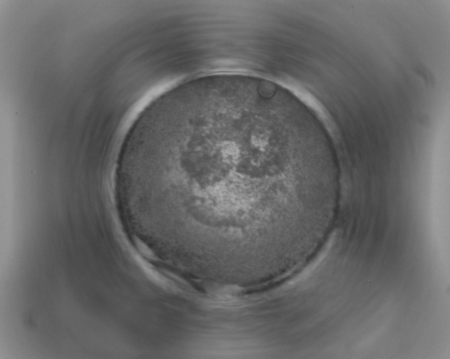 X0000113861333200910081658