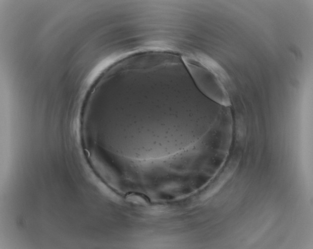 X0000113861334200910081658