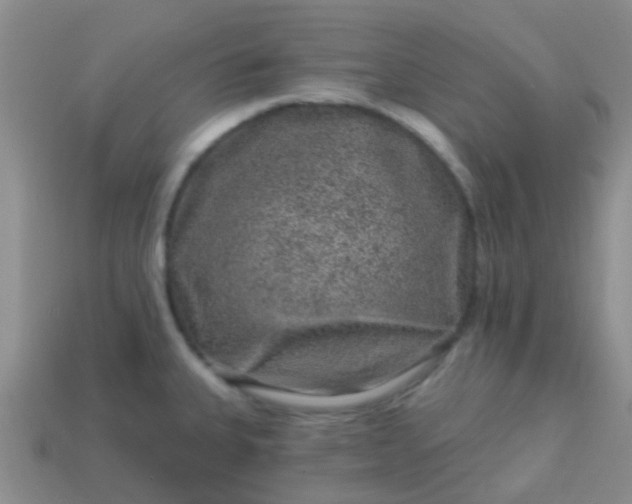 X0000113861335200910081658
