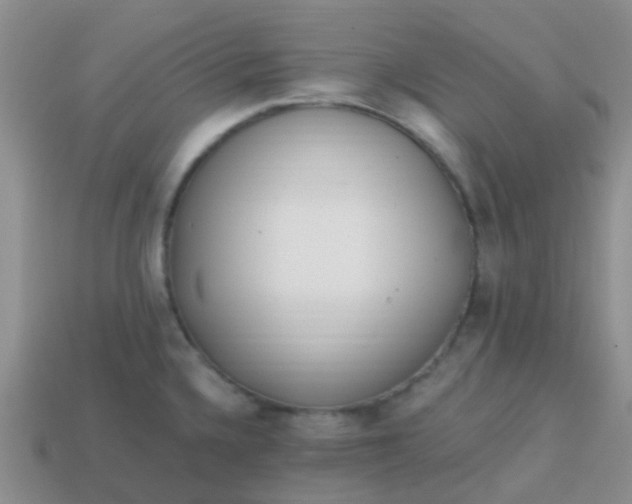 X0000113861336200910081658