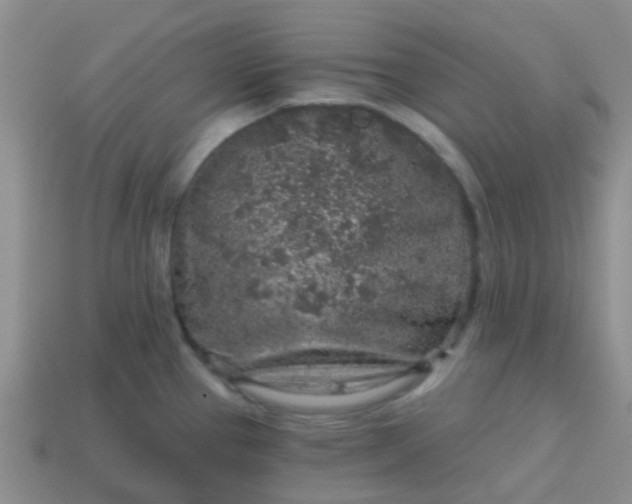 X0000113861337200910081658