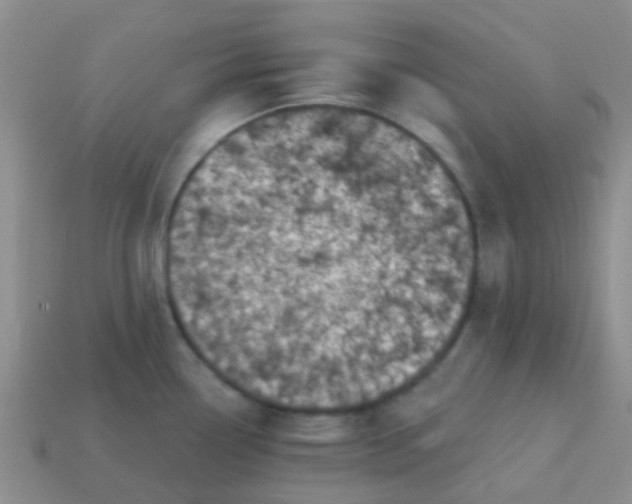 X0000113861338200910081658