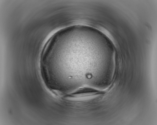 X0000113861339200910081658