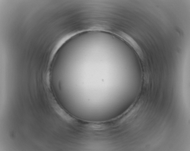 X0000113861340200910081658