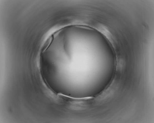 X0000113861342200910081658
