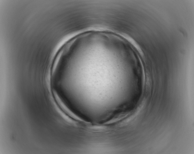 X0000113861343200910081658