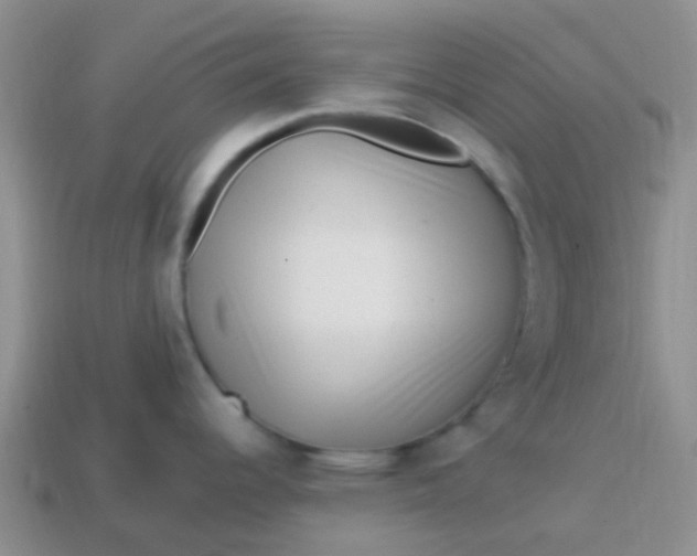 X0000113861344200910081658