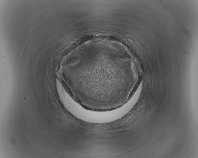 X0000113861345200910081658