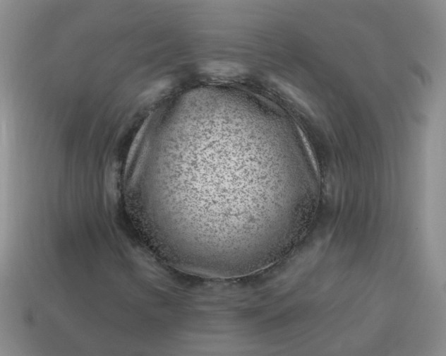 X0000113861346200910081658