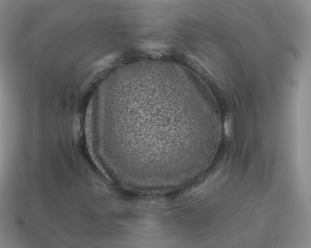 X0000113861347200910081658
