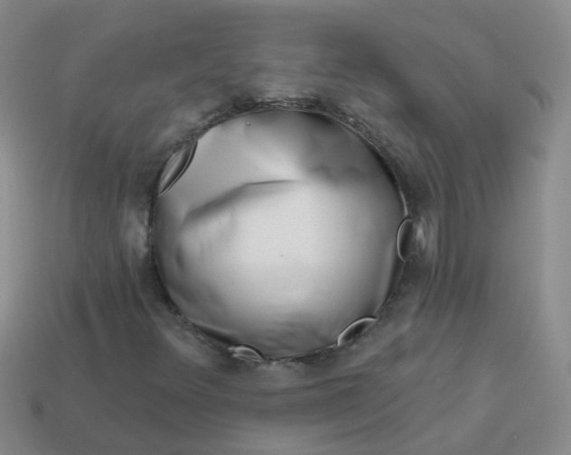 X0000113861348200910081658