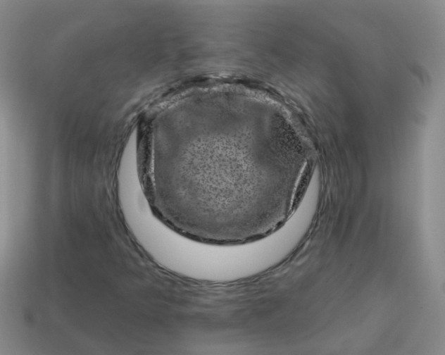 X0000113861349200910081658