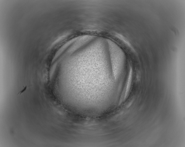 X0000113861350200910081657