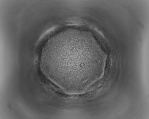 X0000113861351200910081657