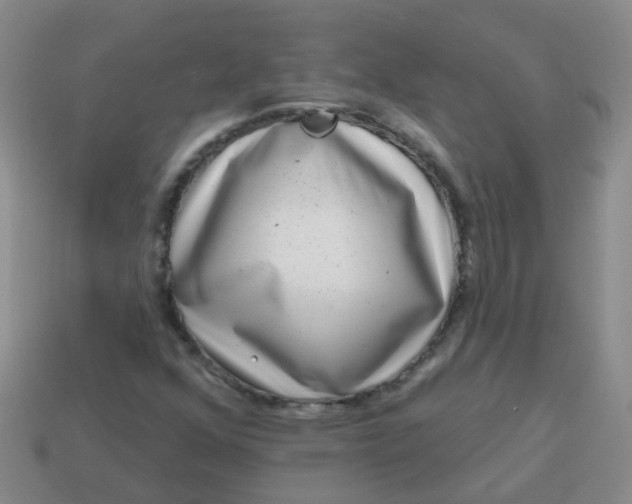X0000113861352200910081657