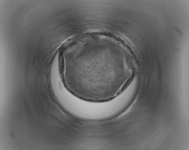 X0000113861353200910081657