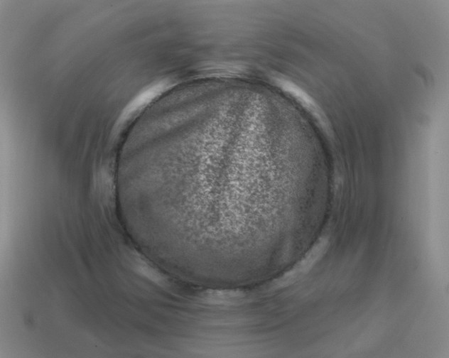 X0000113861354200910081657