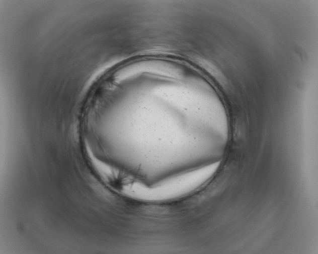 X0000113861356200910081657