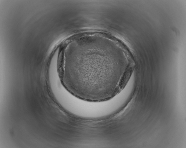 X0000113861357200910081657