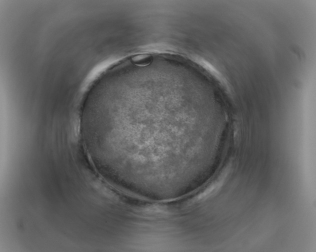 X0000113861358200910081657