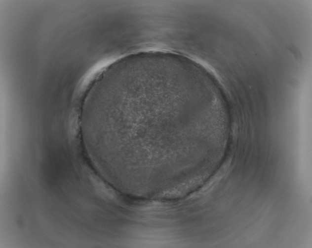 X0000113861359200910081657