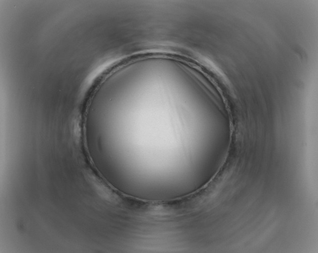 X0000113861360200910081657