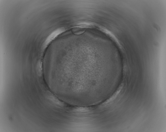 X0000113861362200910081657