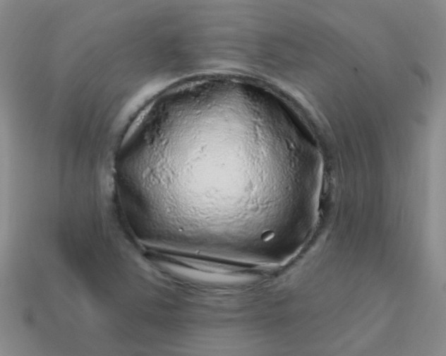 X0000113861363200910081657