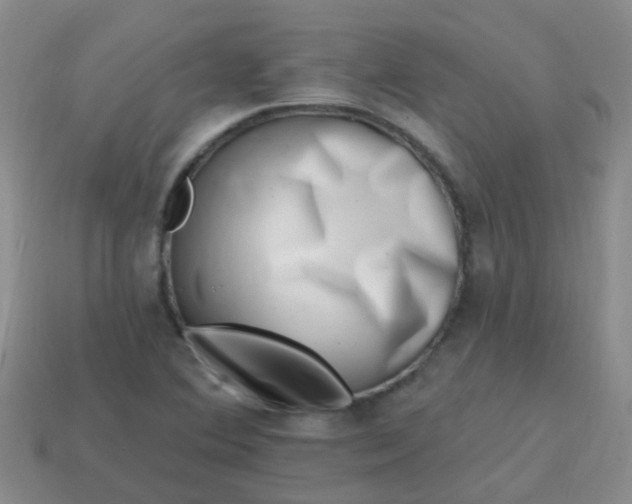 X0000113861364200910081657