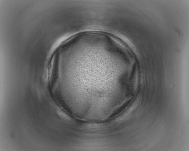 X0000113861366200910081657