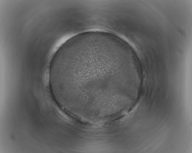 X0000113861367200910081657