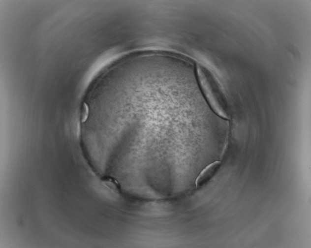 X0000113861368200910081657