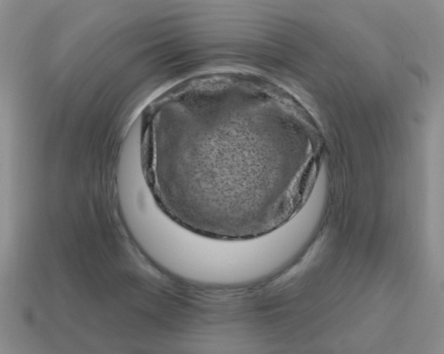X0000113861369200910081657