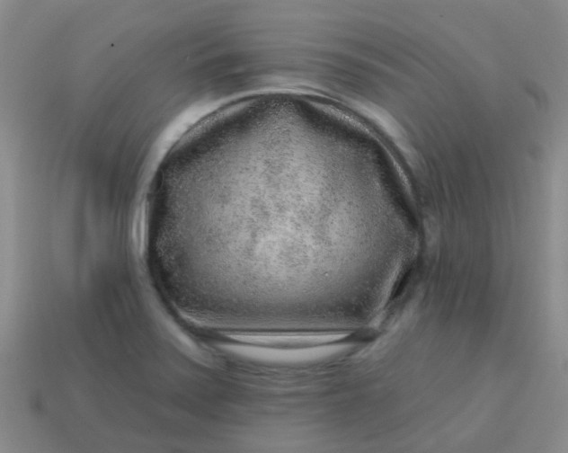 X0000113861371200910081657