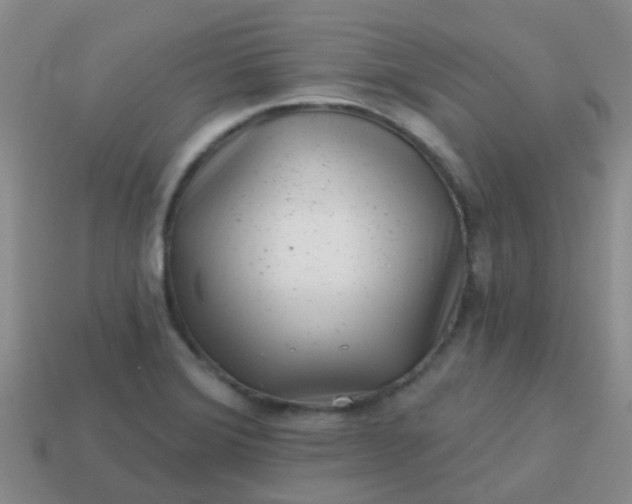 X0000113861372200910081657