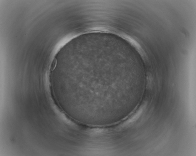 X0000113861373200910081657